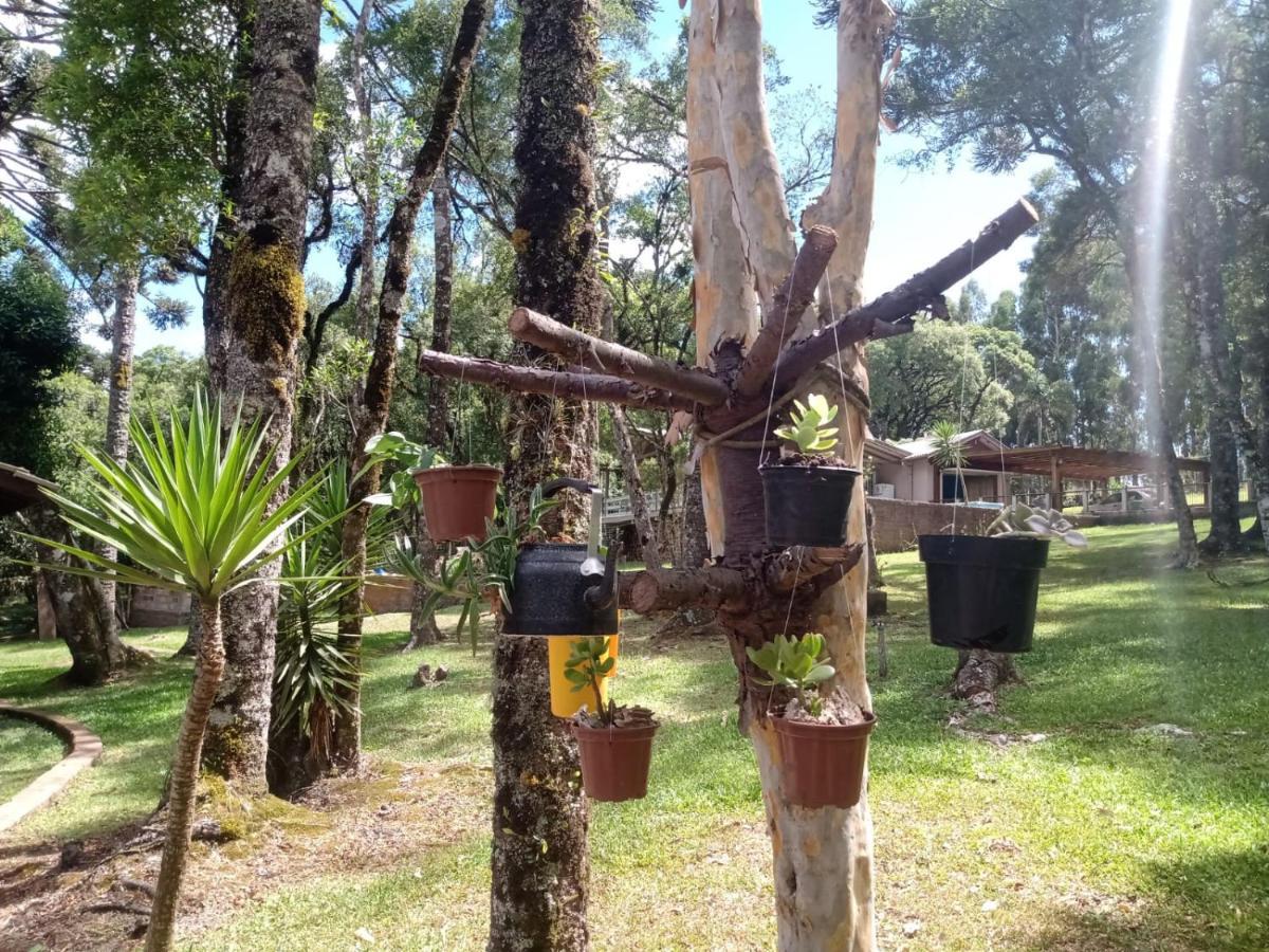 Quartos Recanto Da Natureza Interior كانيلا المظهر الخارجي الصورة
